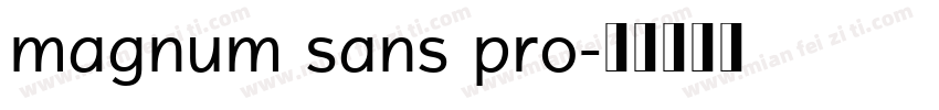 magnum sans pro字体转换
